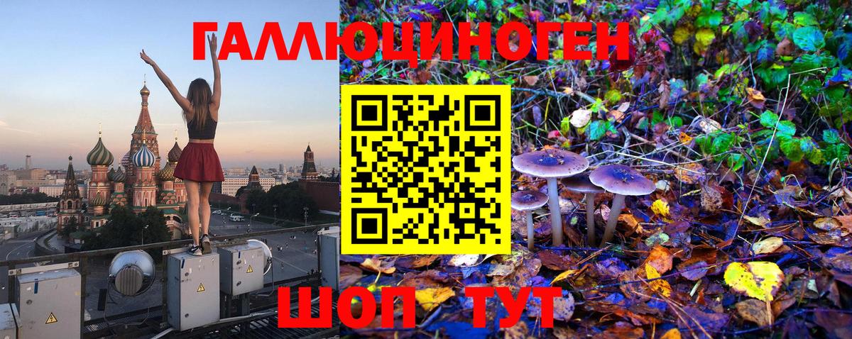 Ахтубинск  Галлюциногенные грибы мухоморы  Вход с VPN 